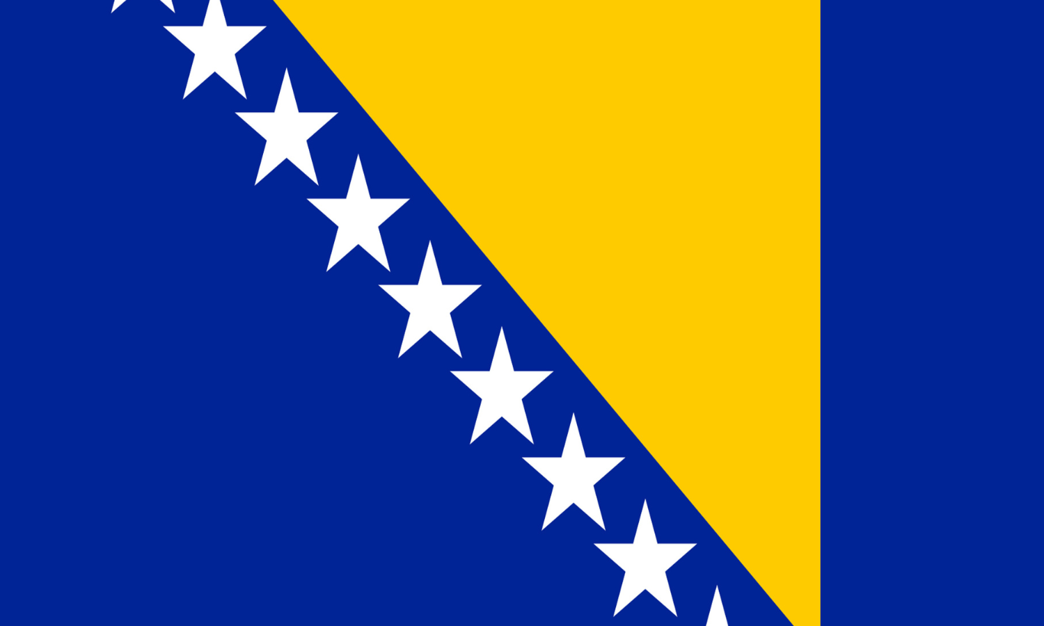Bosnia and Herzegovina logo