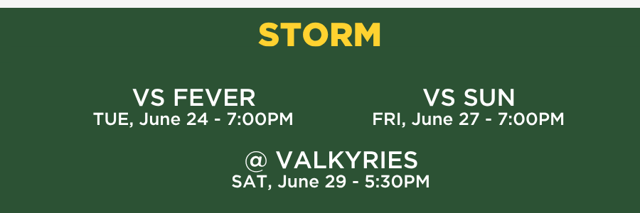 SEATTLE – STORM Seattle storm