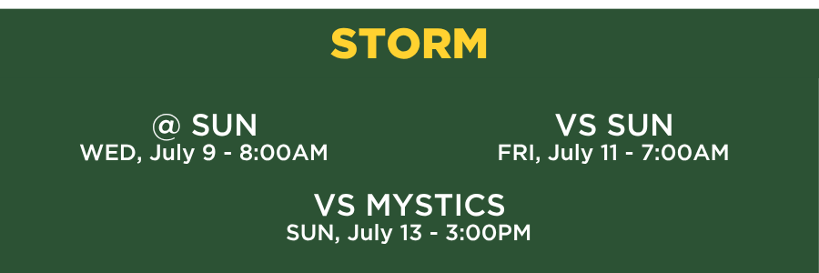 SEATTLE – STORM Seattle storm