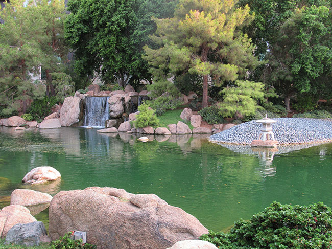 Japanese friendship garden of phoenix