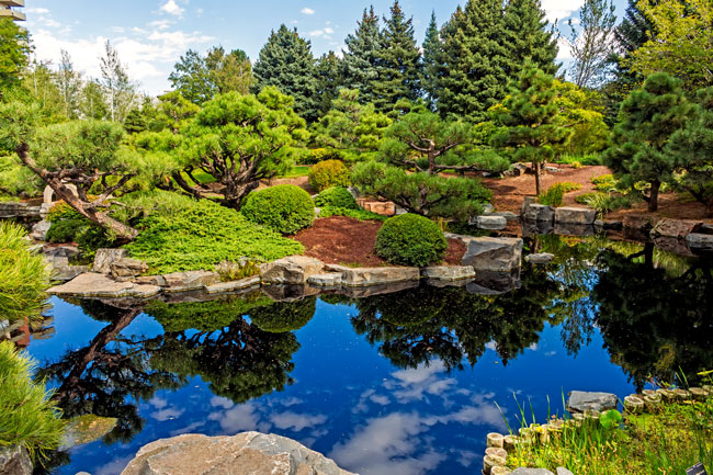 Denver botanic gardens